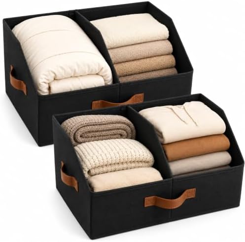 HOMELUX THEORY Closet Organizers Storage, Large Collapsible Bin 2pc, Black