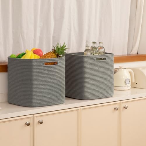 OIAHOMY 2 PACK Cube Storage Bin 13 Inch Collapsible Storage Cube Dark Grey
