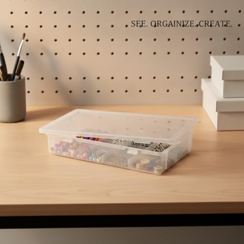 Clear Storage Bin