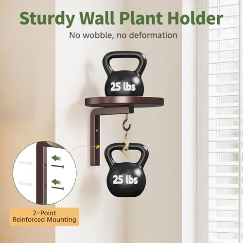 LASZOLA Plant Hanger Holder Window Shelf Wall Mounted Indoor, 3 Pcs Brown