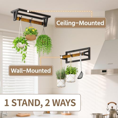 LASZOLA Plant Hanger Holder Shelf Indoor Window Wall Mount, 2 Pack Brown