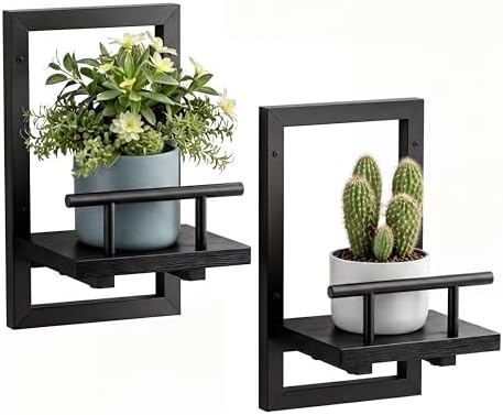 Sbosbo Floating Shelves for Wall Plant Shelf Indoor Wall Mounted Shelves | Wall Planters for Indoor Floating Plant Shelves for Bedroom, Living Room, Kitchen, Office, Bathroom Decor (Black, 2 Pack)
