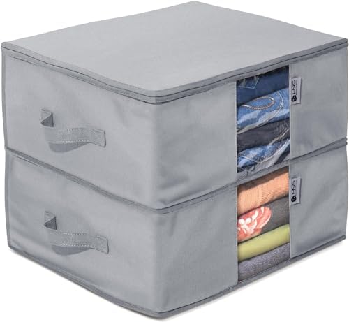 Cedar Clothes Storage Bag Organizer, Protects From Moths, Set of 2, Grey