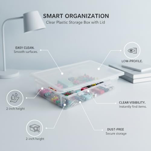 Clear Storage Bin