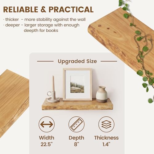 Venusmiles Live Edge Elm Floating Shelves for Wall Decor, Rustic Solid Wood Shevles Wall Mounted with Invisible Bracket for Living Room Bathroom Bedroom Kitchen, 22.5 Inch Set of 2, Natural