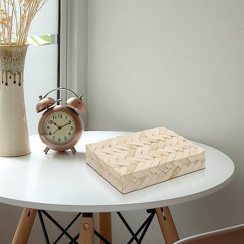 Handicrafts Home Decorative Box 8x6 – Photo Storage Box, Jewelry Organizer, Modern Decorative Storage Box with Lid, Bohemian Table Décor, Vintage Keepsake Box for Shelf or Coffee Table Décor