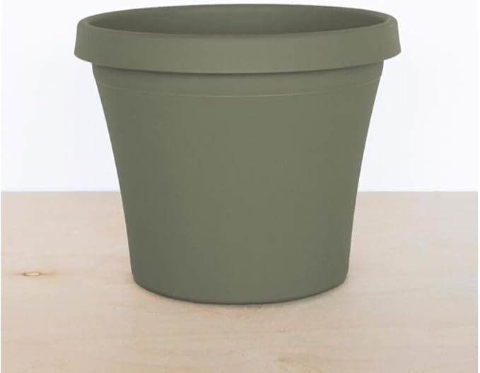Bloem Terra Pot Planter 8" Living Green