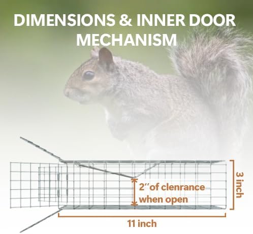 One Way Door for Squirrels Excluder, One Way Squirrel Door and Rodent Trap, Humane Squirrel Traps for Attic with Copper Mesh, Removing Squirrels, Chipmunks for Rooof, Garage，Garden and Chimney