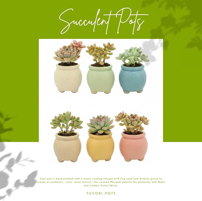 Wide Round Belly 12-Pack Rustic Boho Succulent Pots with Drainage - 4cm/1.6" Unglazed Rough Ceramic Planters, Matte Speckled Finish Mini Pots for Root Control & Modern Home Decor (Sage Green)