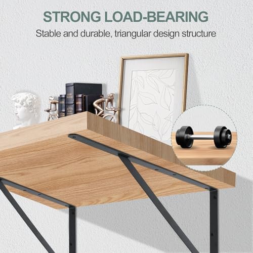 12 Pack L22 x H 12" Black Heavy Duty Shelf Brackets with Screws Metal Shelf Brackets Shelf Support Angle Brackets for Shelves L Brackets Heavy Duty Floating Shelf