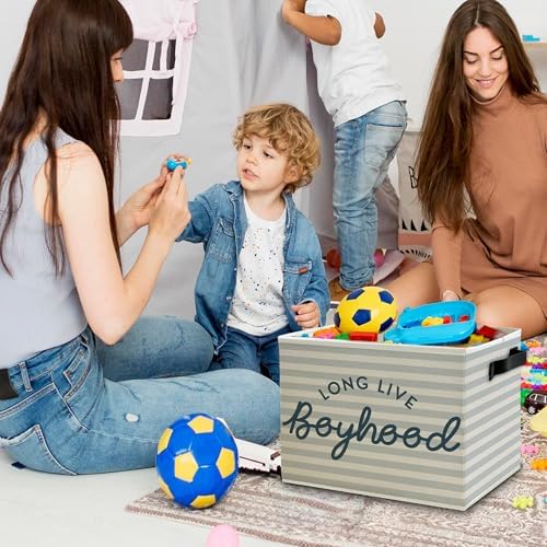 Long Live Boyhood Boys Storage Bins Box with Handles, Light Blue Striped Collapsible Basket Organizer for Kids Boy Nursery Room Bedroom Bathroom Playroom Books Clothes