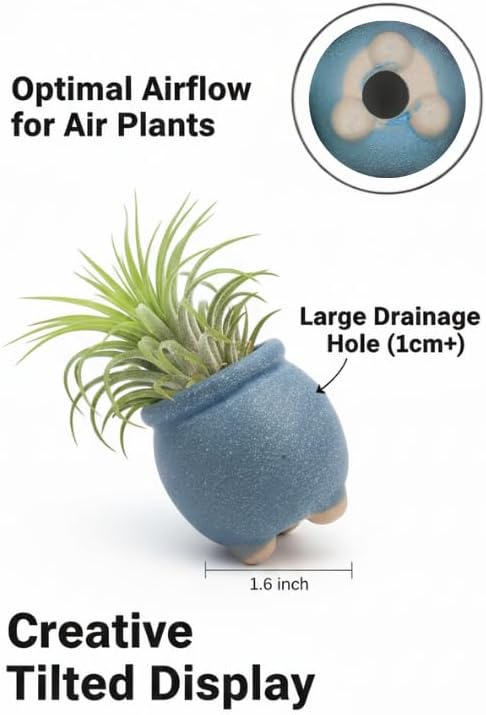12-Pack 1.6" Wide Round Belly Succulent Pots with Large Drainage Hole - Rustic Morandi Stone Textured Ceramic Planters, Side-Tilted Stable Mini Pots for Air Plants, Fairy Gardens (Dusty Pink)