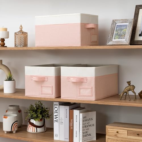GRANNY SAYS Closet Storage Bins with Label, Pink&Ivory, Medium, 3-Pack