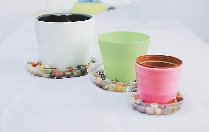 TRUEDAYS 10 Inch 5 Pack Clear Plant Saucers Flower Pot Tray Excellent for Indoor & Outdoor Plants