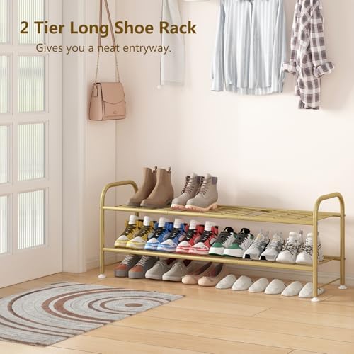 LINZINAR 2 Tier Long Shoe Rack for Closet Metal Shoe Organizer for Entryway
