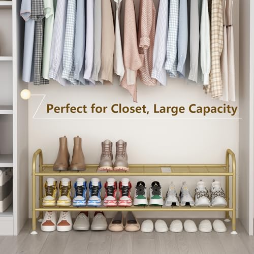 LINZINAR 2 Tier Long Shoe Rack for Closet Metal Shoe Organizer for Entryway