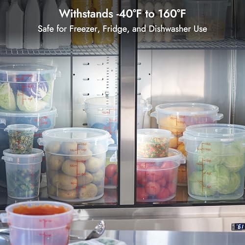 CURTA 6 Quart Translucent Round Food Storage Container with Lid, Pack of 4 – NSF Listed, BPA-Free, Commercial-Grade Polypropylene, Freezer & Dishwasher Safe, Non-Stick, Easy-Read Graduations