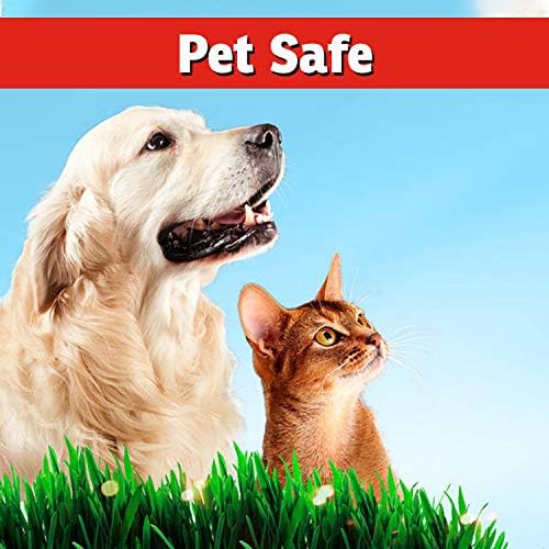 I Must Garden Insect Control: Kills & Repels Aphids, Whiteflies, Mites, Gnats, and More - 1 Gallon Ready to Use Refill