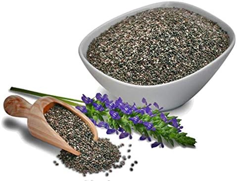 Chia Seeds for Planting, 1000+ Seeds Per Packet,Herb/Flower, (Isla's Garden Seeds), Non GMO & Heirloom Seeds, Scientific Name: Salvia hispanica, Great Gift