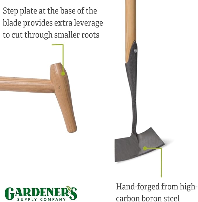 Gardener's Supply Company Lifetime Dutch Hoe | High-Carbon Boron Steel Blade & 54" Long European Ash Wood T-Handle | Easy to Use Gardening Tool