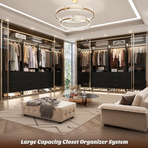 Aheaplus Closet System Closet Organizer, 4FT Closets, Set of 2，Black