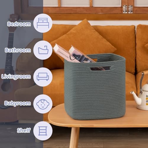 OIAHOMY 2 PACK Cube Storage Bin 13 Inch Collapsible Storage Cube Dark Grey