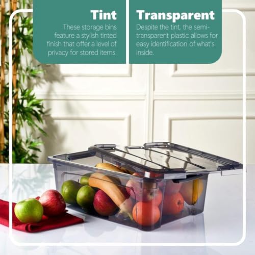 Tribello 12.5 Quart Storage Bins with Lids, Plastic Storage Containers with Latching Lids For Organizing - Tinted - (15.5’ x 12” x 6”) - Set of 2 - Made in EU