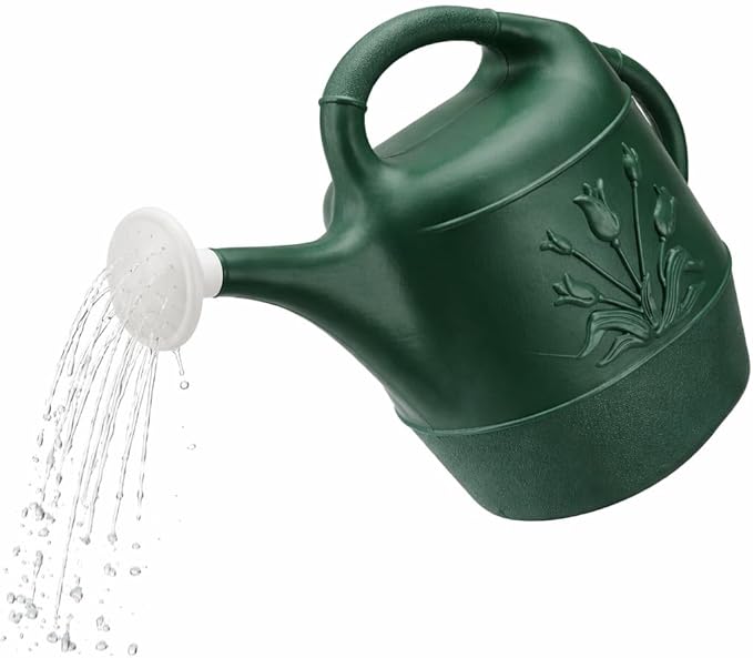 PMU 2 Gallon Watering Can - Garden Watering Can for Indoor & Outdoor Plants - Plastic Water Can with Detachable Sprinkler Head - Large Water Pot, Made in USA - Hunter Green Pkg/12