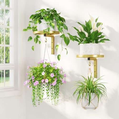 LASZOLA Plant Hanger Holder Window Shelf Wall Mounted Indoor, 2 Pcs Gold