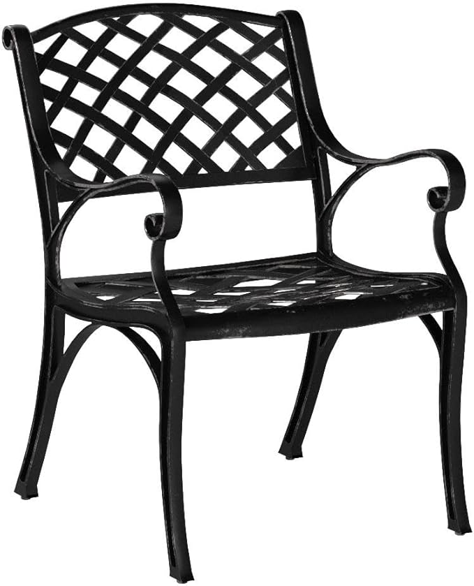 NUU GARDEN Cast Aluminum Patio Dining Chairs with Armrests for Indoor Outdoor Bistro Chairs for Balcony, Backyard, Garden, Black with Bronze Edge