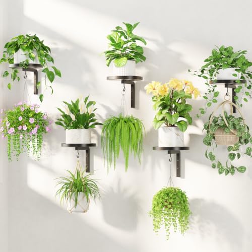 LASZOLA Plant Hanger Holder Window Shelf Wall Mounted Indoor, 5 Pcs Black