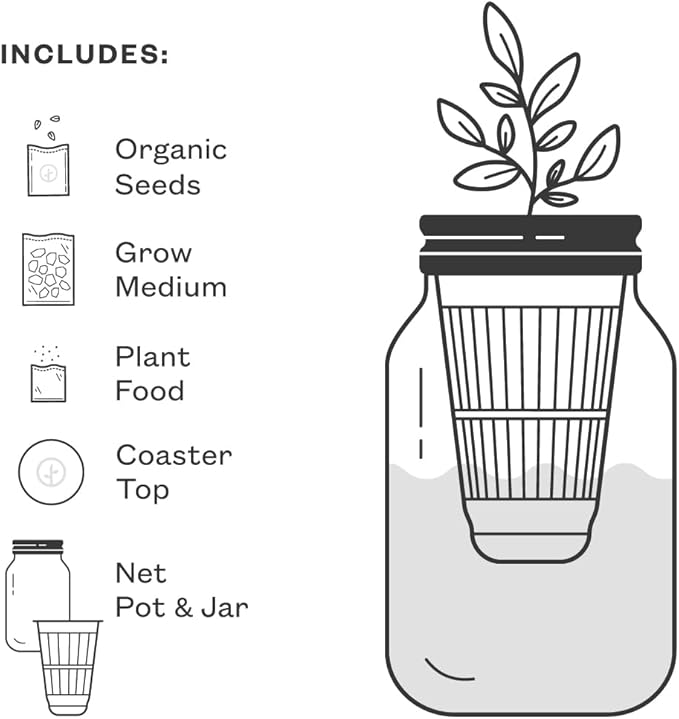 Modern Sprout Mason Garden Jar - Self-Watering Hydroponics Growing System Kit w/Organic Herb Seeds - Sprouting Jar Planter for Indoor Herb Garden - Seed Starter Kit - Decor & Gifting - Basil+Cilantro
