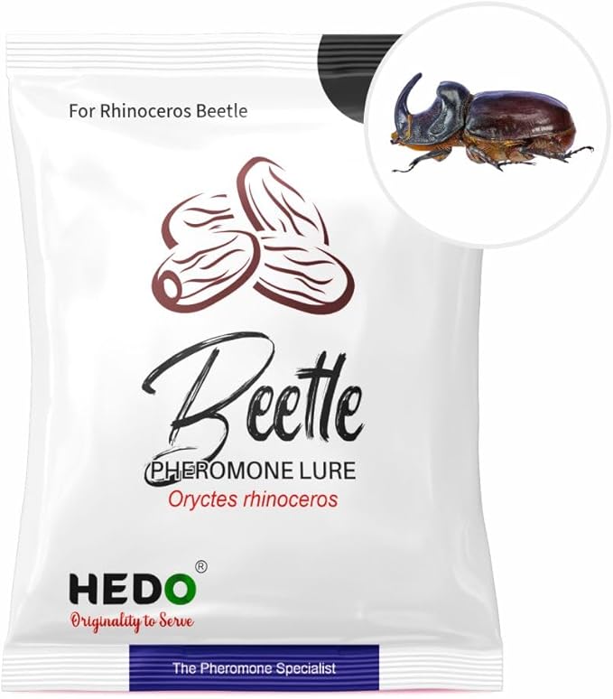 HEDO Beetle Lure Pack of 10| Pheromone Lure for Rhinoceros Beetle (oryctes Rhinoceros) for Coconut & Palm Tree