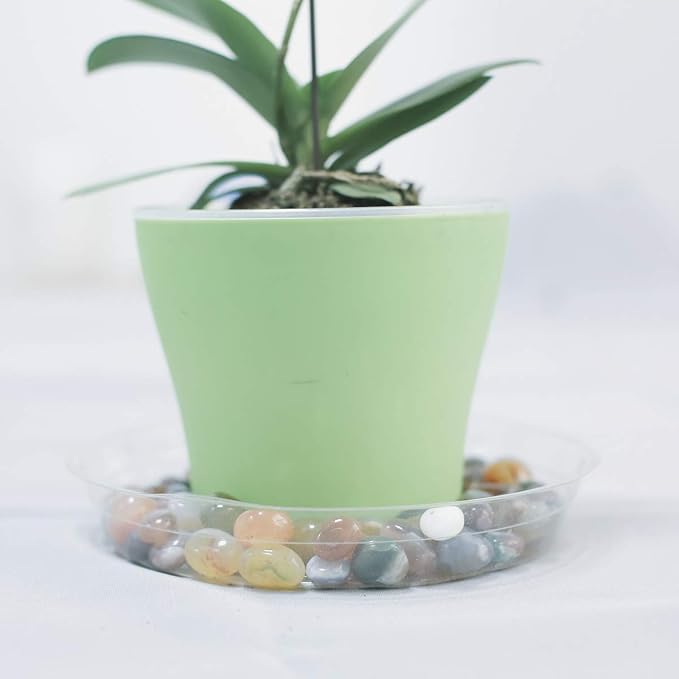 TRUEDAYS 12 Inch 5 Pack Clear Plant Saucers Flower Pot Tray Excellent for Indoor & Outdoor Plants