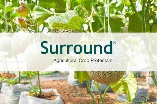 Surround WP Kaolin Clay Insecticide