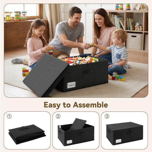 GRANNY SAYS Extra Large Storage Bins with Lids, Closet Bins, Black | Closet Storage Bins, Double-Open Lid, Clear Lable Holder, 3 Handles, Large for Blankets, Clothes, Seasonal Storage, 2-Pack