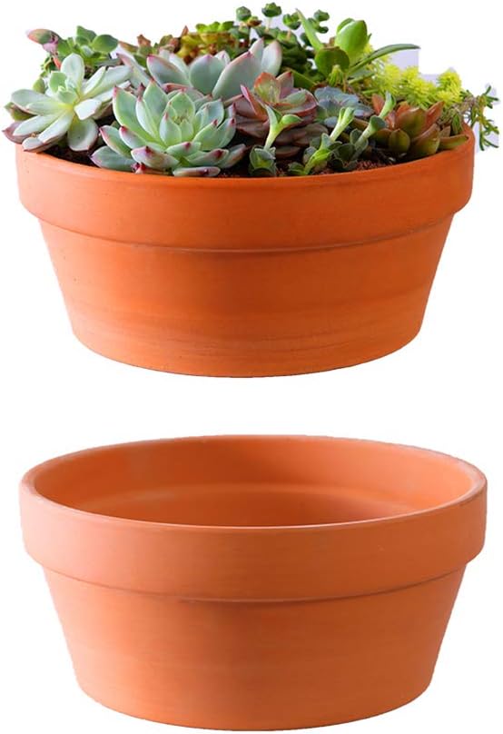 Yishang Large Terracotta Pots for Succulent - 10 Inch Cactus Plant Containers Indoor Garden Bonsai Pots with Drainage Hole - Set of 2, Unglazed Clay Ceramic Pottery Planter