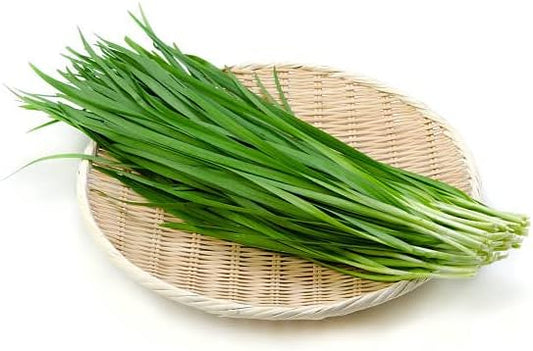 2026 Early Bird-Garlic Chive Seeds for Planting. Heirloom,Non-GMO.Vegetable Seeds for Planting, Herb Seed for Home Herb Garden or Indoor Garden,Hydroponic Pods Plant Seeds-韭菜Chinese Chive Seed,1g