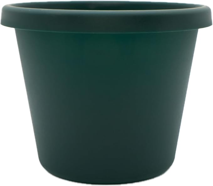 The HC Companies Prima Round Plastic Plant Pot w/Rolled Rim - Lightweight & UV Resistant Flower Pot for Herbs & More - Outdoor & Indoor Plant Pots w/Drainage (12 inch, Evergreen, Pack of 1)