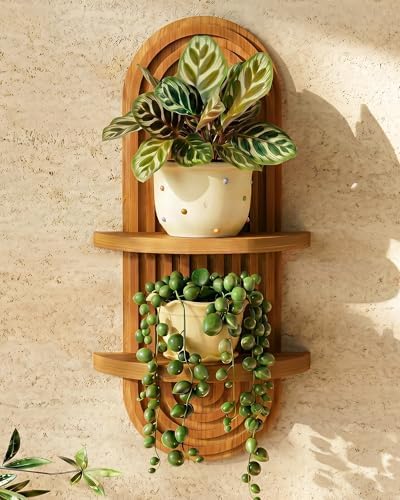 Bamworld Boho Wall Decor Brown Plant Wall Shelf Mid Century Modern Decor Hanging Plant Shelf 22in 2 Tier Wooden Floating Shelves Brown | Mid Century Modern Decor Hanging Plant Shelf Wooden Floating Shelves for Home Bedroom Living Room Holding Planter D...