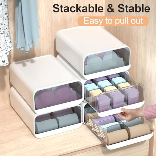 Underwear Organizer Drawer, 15 Cells Plastic Sock Underwear Storage Drawer, Stackable Closet Organizers and Storage Box for Bras, Socks, Scarves, Ties, Belt (Queen Size-White, 1 Pcs)