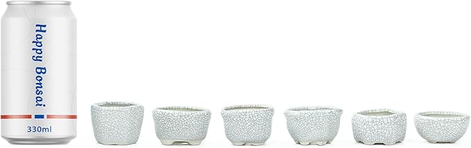 Bonsai Planter 1.8 inch (4.5cm) Mini Succulent Glazed Pots Set of 18 Gray White