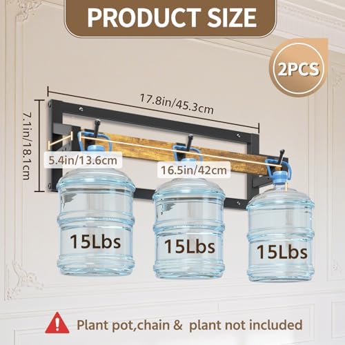 LASZOLA Plant Hanger Holder Shelf Indoor Window Wall Mount, 2 Pack Brown
