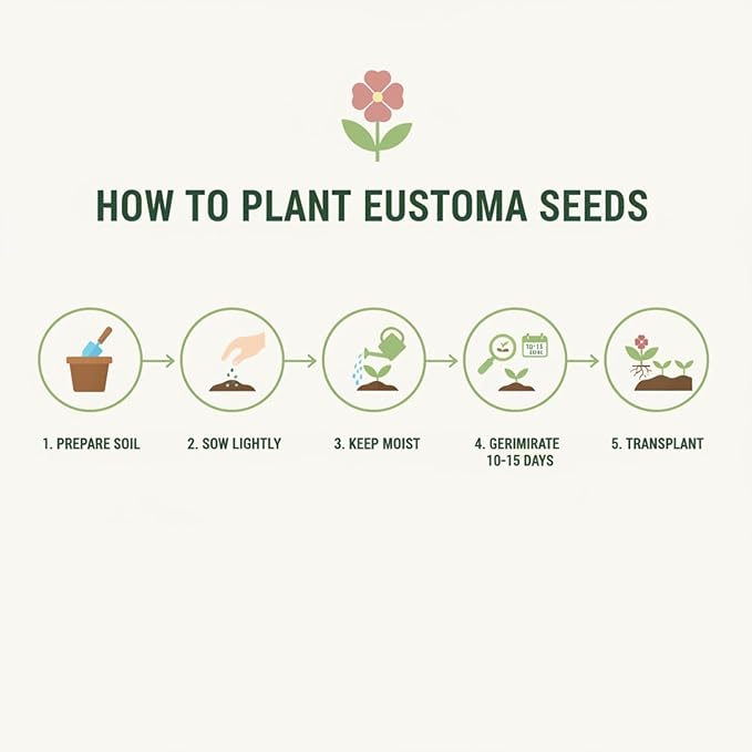 2000 Lisianthus Seeds for Planting, Mixed Color Eustoma Flower Seeds, Thornless Rose Seed, Non-GMO Eustoma Grandiflorum Perennial Garden Indoor Blooms