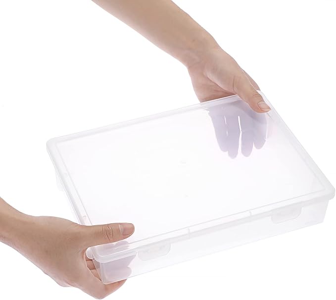 BTSKY Clear Plastic Storage Box with Flap Lid,4 Pack Medium-10.8"x7.9"x2.1"