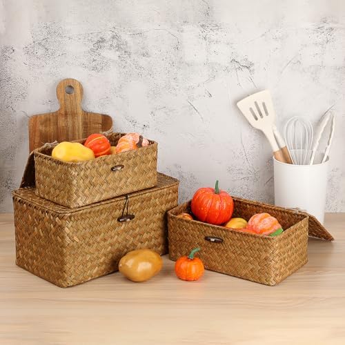 Sumnacon Wicker Basket with Lid,Tampon Holder for Bathroom,Caramel,Medium | Natural Seagrass Female Product Organizer for Toiletries Pad Tampon Storage,Farmhouse Woven Baskets for Shelf, Toilet Tank