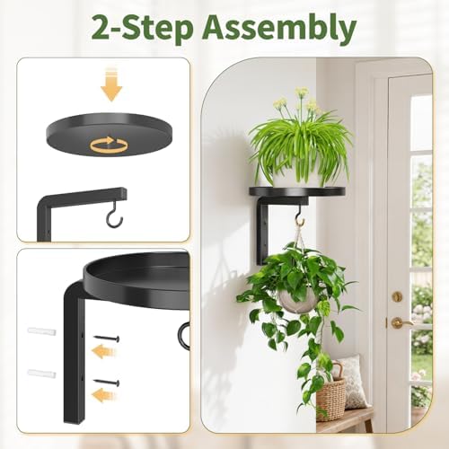 LASZOLA Plant Hanger Holder Window Shelf Wall Mounted Indoor, 5 Pcs Black