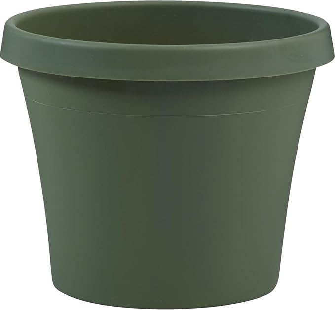 Bloem Terra Pot Planter 8" Living Green