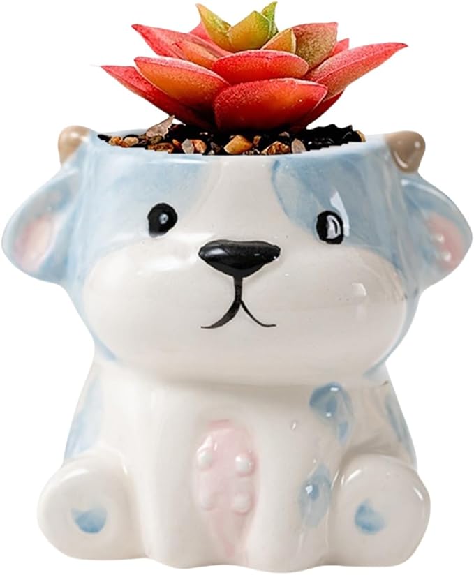 Cute Animal Ceramic Succulent Planters, Small Bonsai Planter, Aloe Cactus Succulent Plant Pots with Drainage Indoor Outdoor Use for Office Home Garden Decoration, Plants Not Included (Cow)