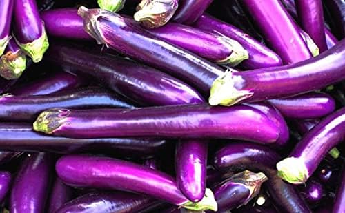 Eggplant Seeds for Planting Vegetables and Fruits-High Yield Eggplants for Home Vegetable Garden & Container Planting.屏东长茄子.Non GMO Heirloom Garden Seeds-50ct Long Ping Tung